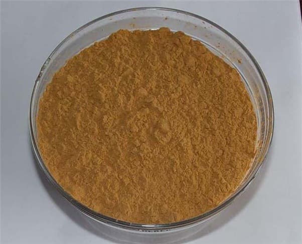 Gymnema sylvestre extract 25_ gymnemic acids